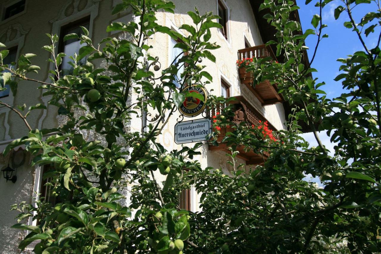 Landgasthof Auerschmiede イルシェンベルク エクステリア 写真